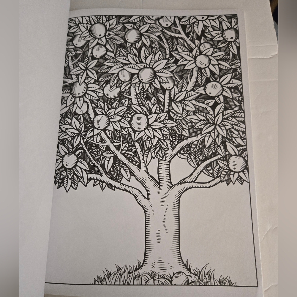 Bundle/3 Adult Coloring Books - Picture 5 of 16